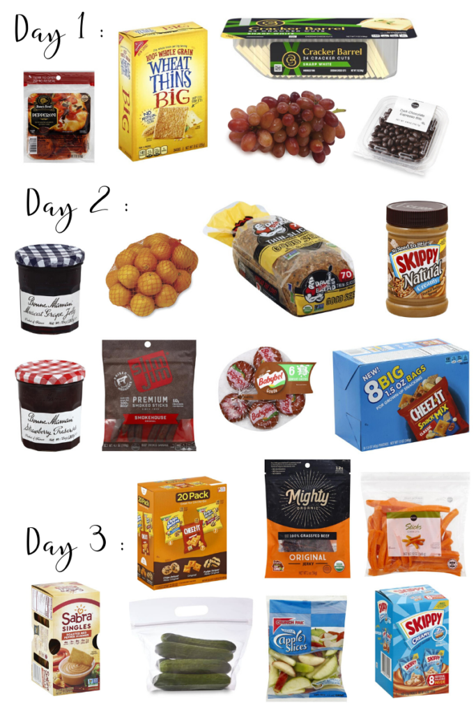 what-snacks-to-pack-for-disney-world-sell-eat-love